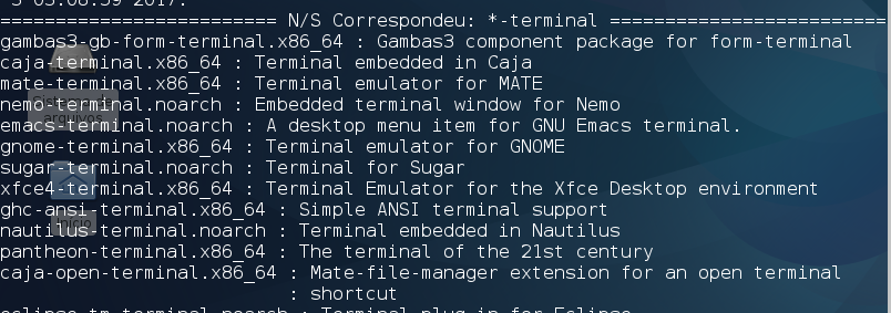 terminal